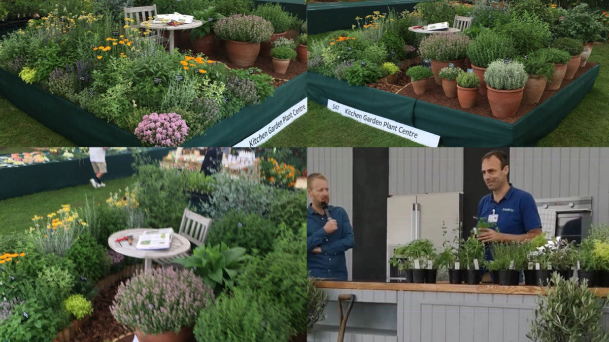 What happened in 2019