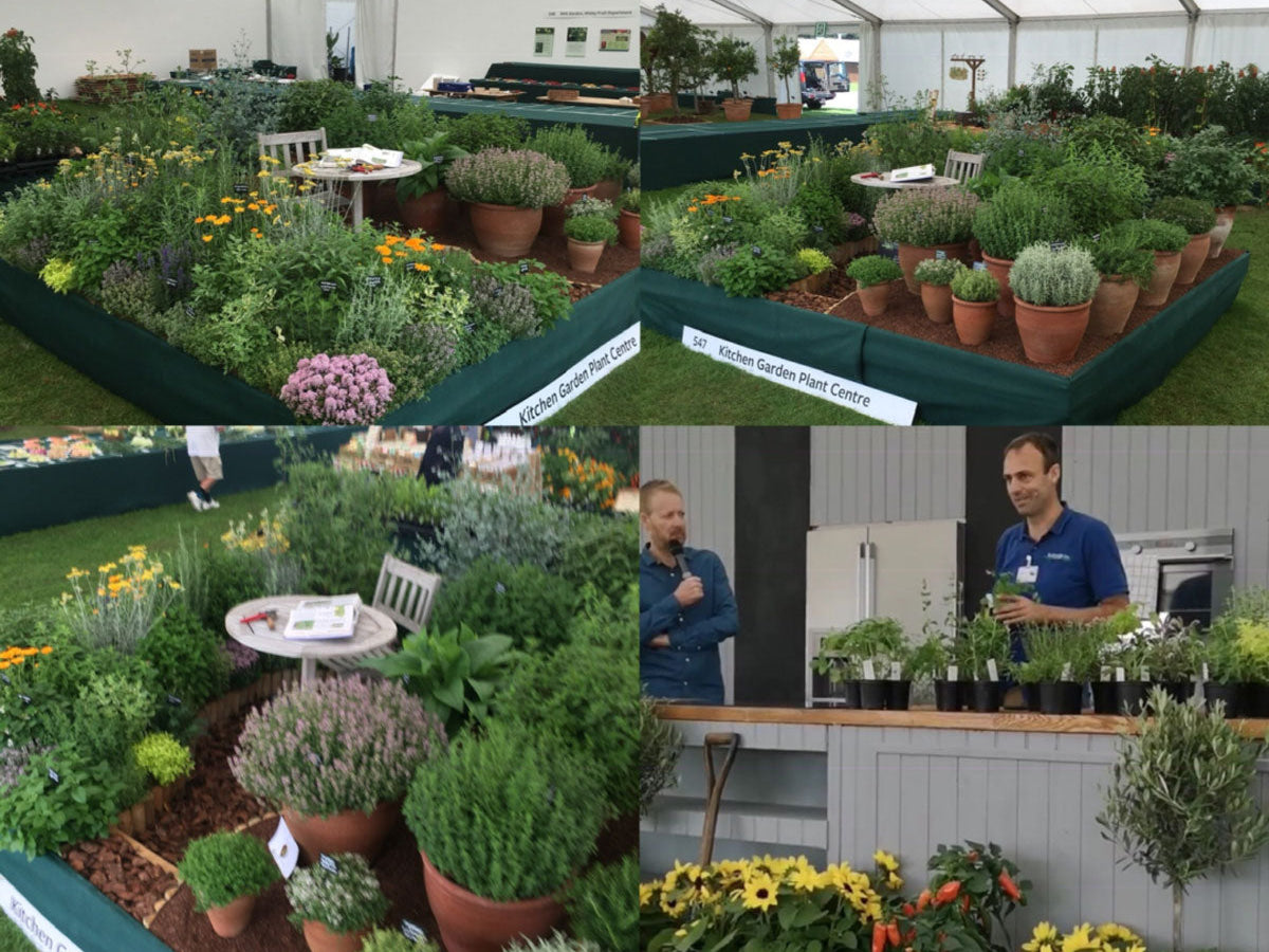 What happened in 2019