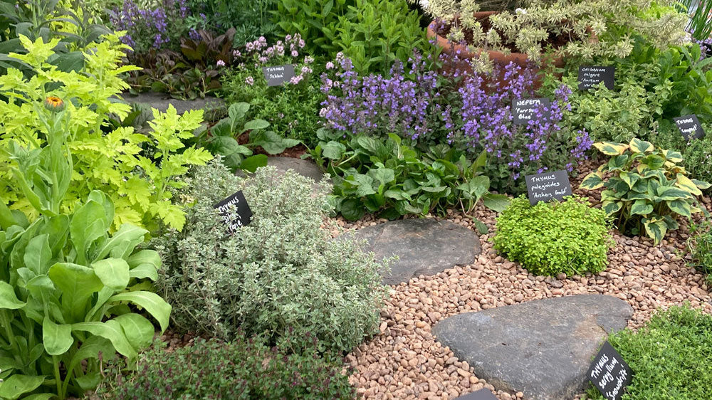 Thriving Amidst Achievements