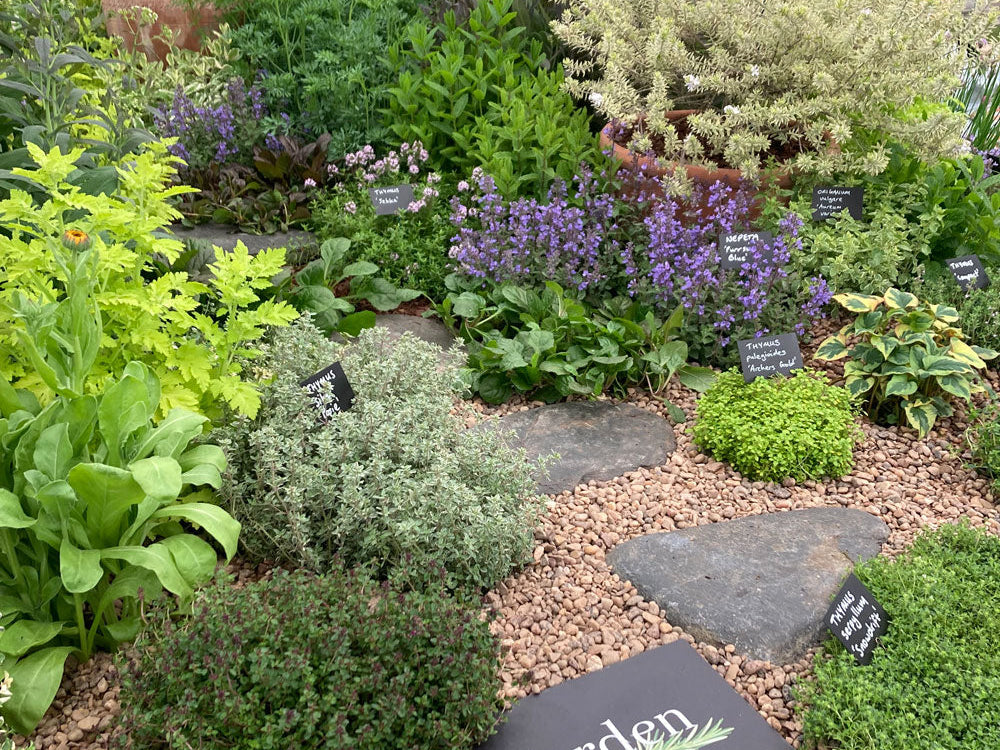 Thriving Amidst Achievements