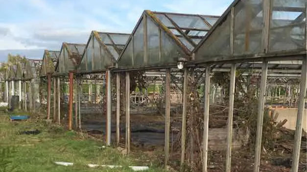 Celebrating 10 Years in 2025