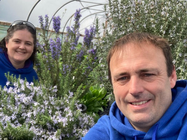 Will it really happen this year