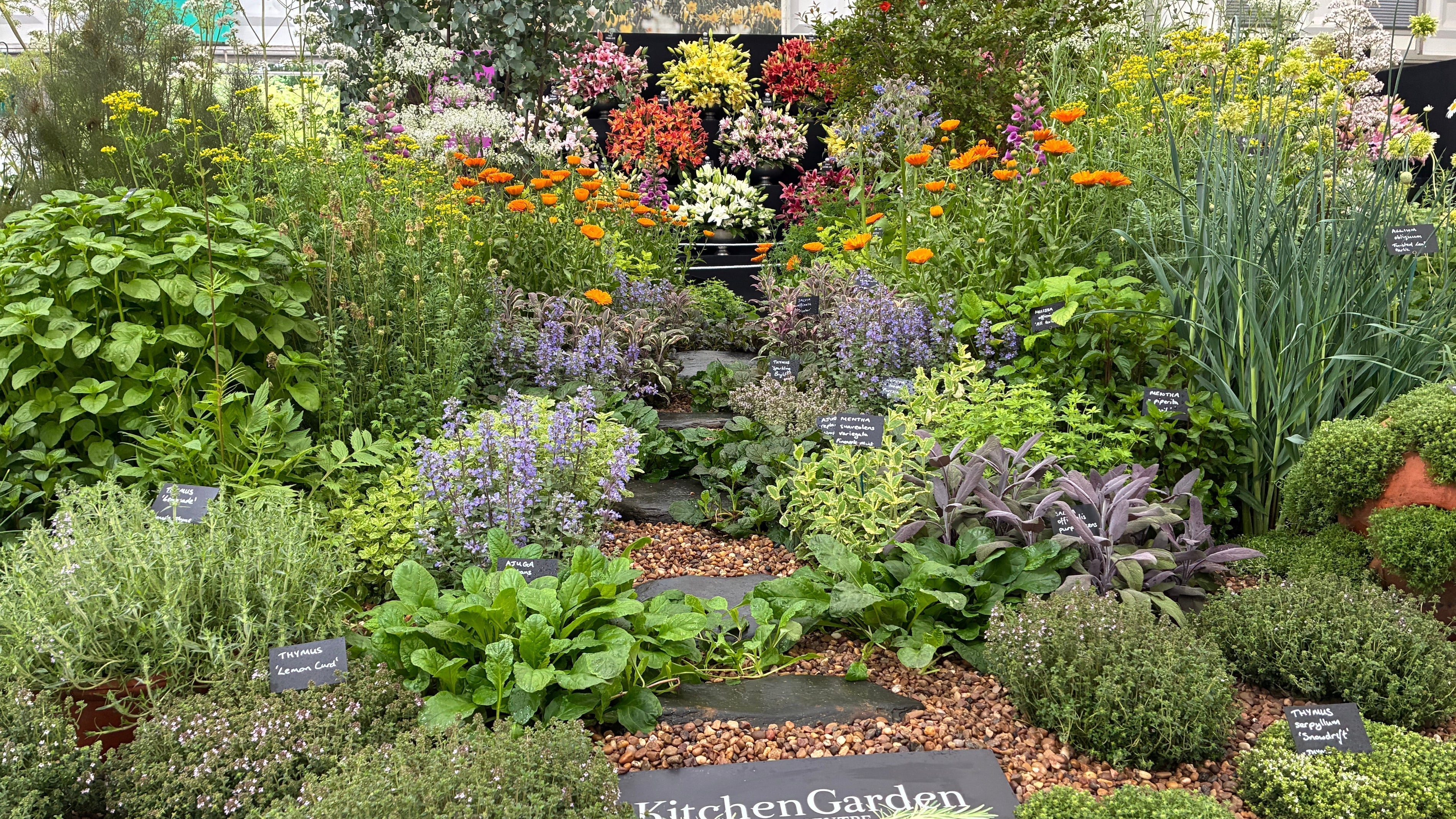 RHS-Chelsea-Gold-Medal-herb-display-Kitchen-Garden-Plant-Centre