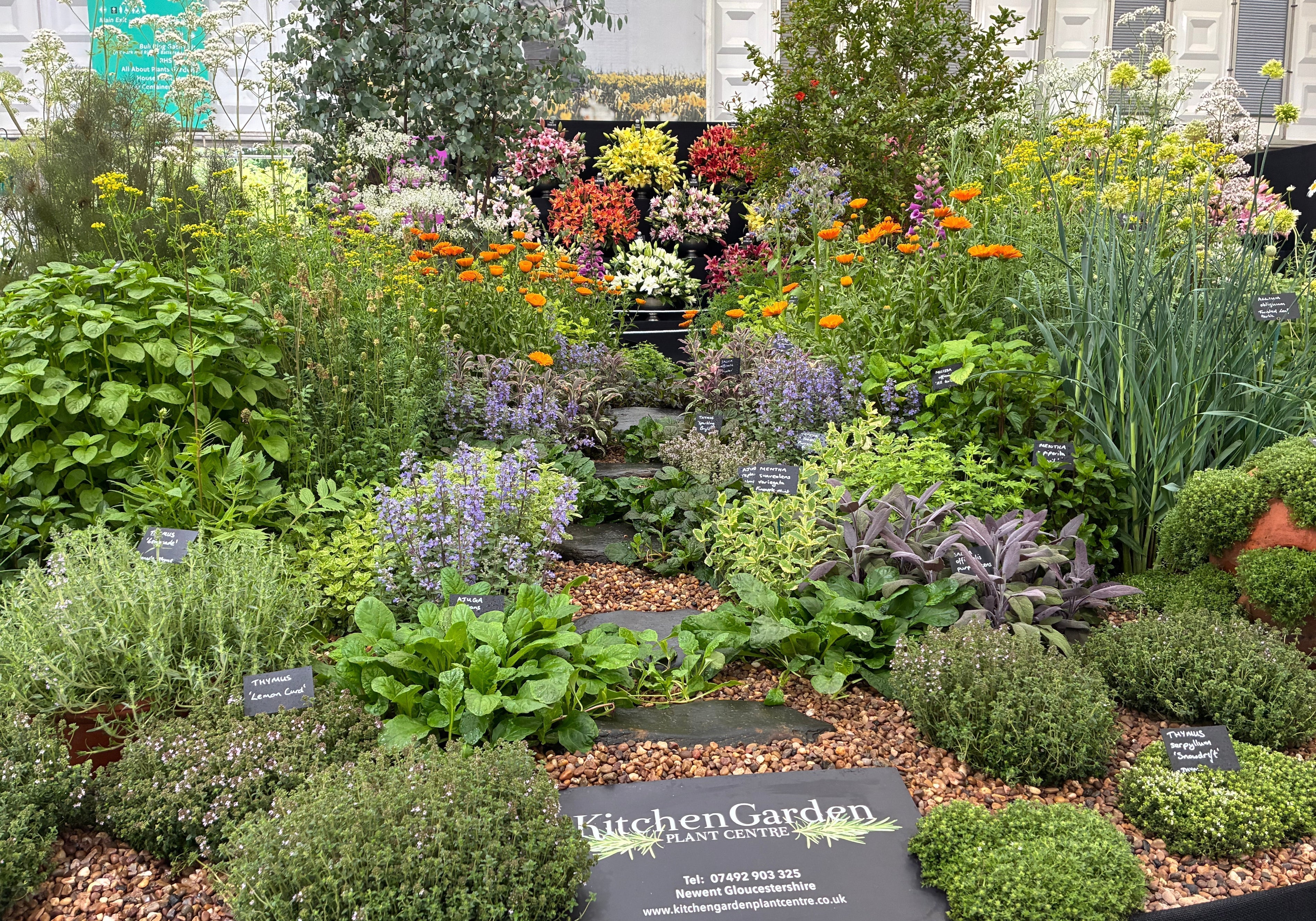 RHS-Chelsea-Gold-Medal-herb-display-Kitchen-Garden-Plant-Centre