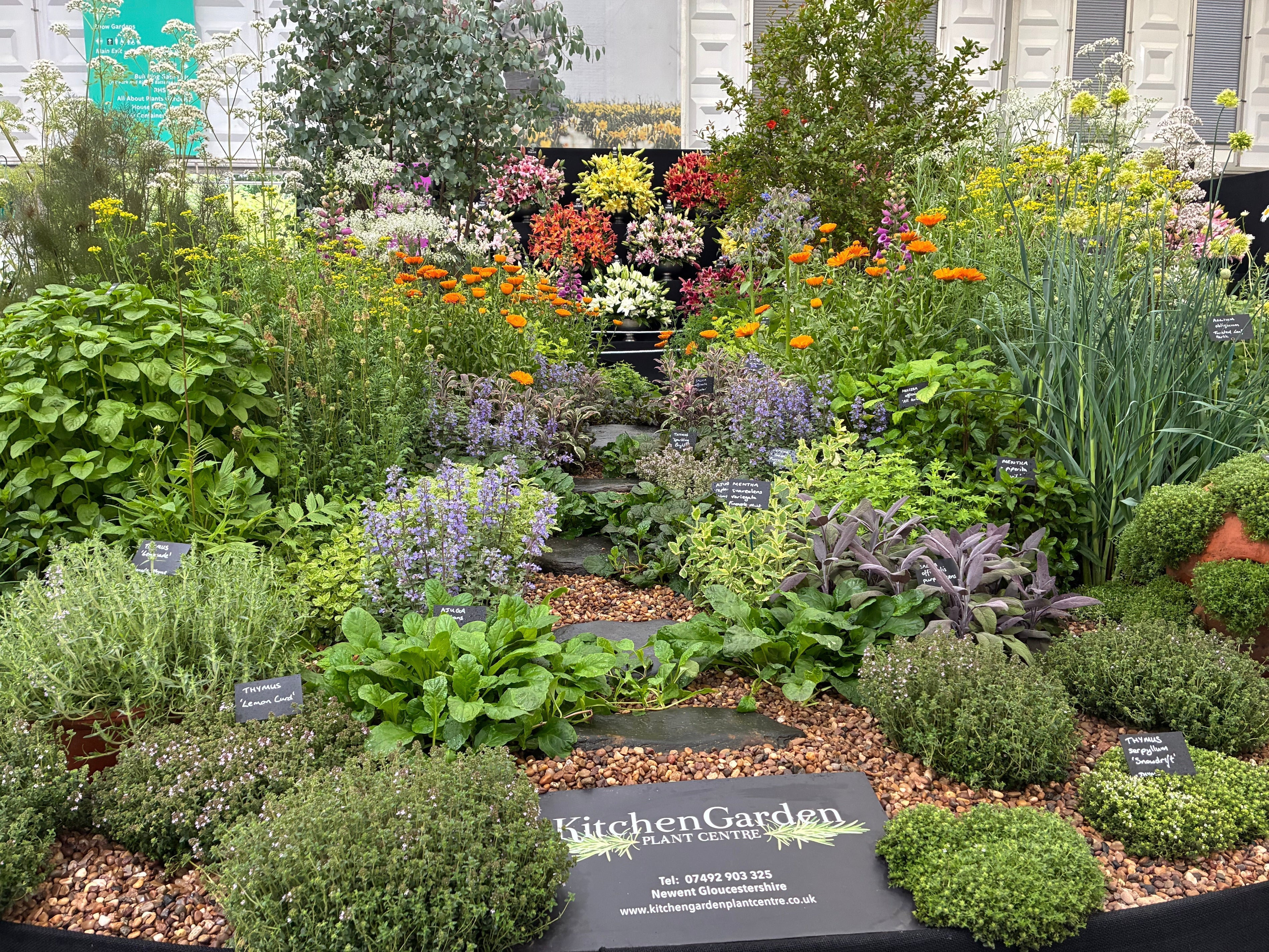 RHS-Chelsea-Gold-Medal-herb-display-Kitchen-Garden-Plant-Centre