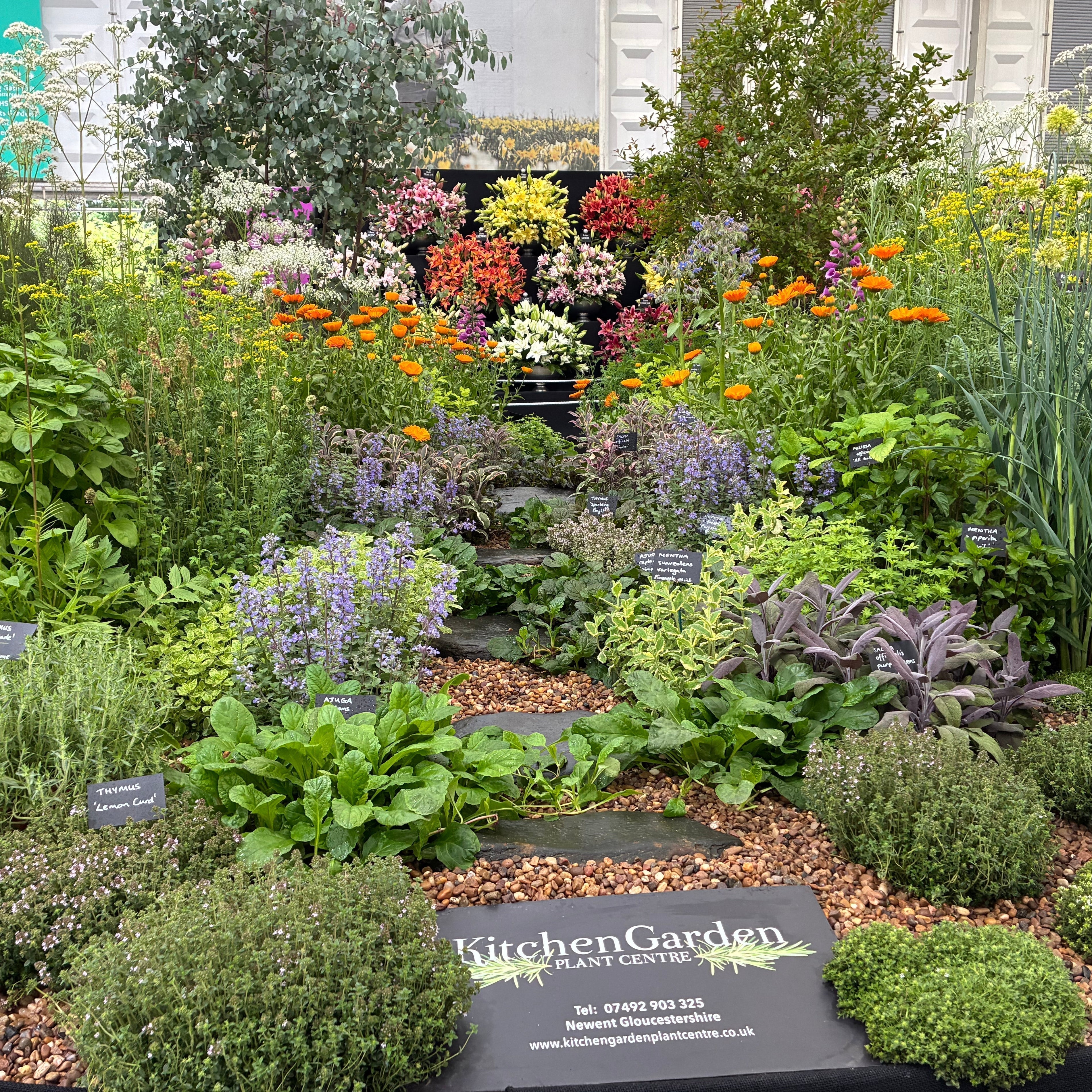 RHS-Chelsea-Gold-Medal-herb-display-Kitchen-Garden-Plant-Centre